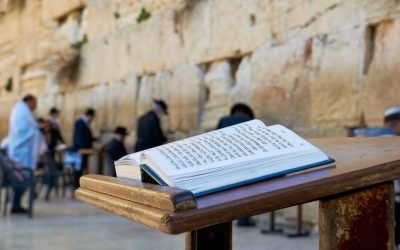 Parashat Bamidbar – Cada um conta