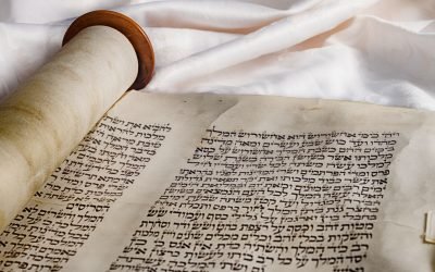 Estamos todos conectados