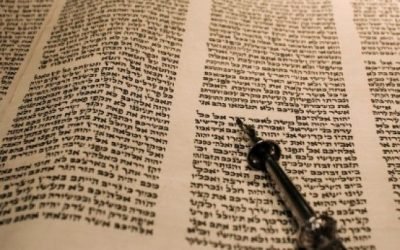 Mediocridades da arrogância