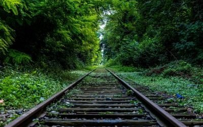 Judaísmo em transformação