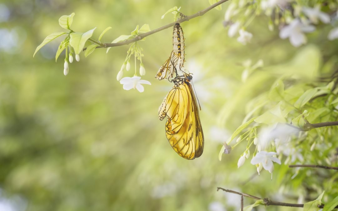 O futuro que queremos construir hoje