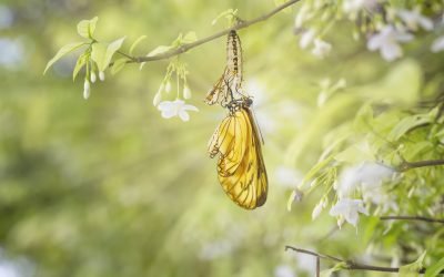 O futuro que queremos construir hoje