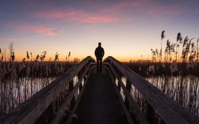 O poder das palavras