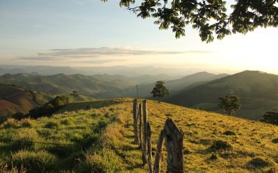 Kavaná: motivações e intenções