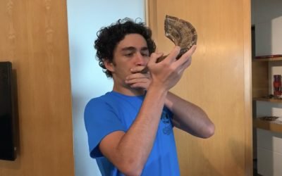 Juventude da CIP promove atividades sobre Grandes Festas e Sucot