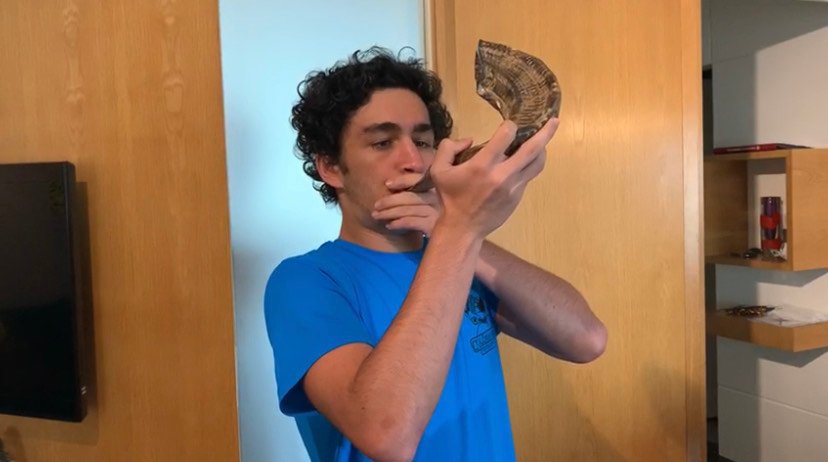 Juventude da CIP promove atividades sobre Grandes Festas e Sucot