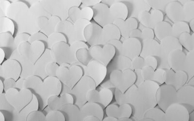 Falar de nossa terra a partir do amor | Parashat Shelách Lechá